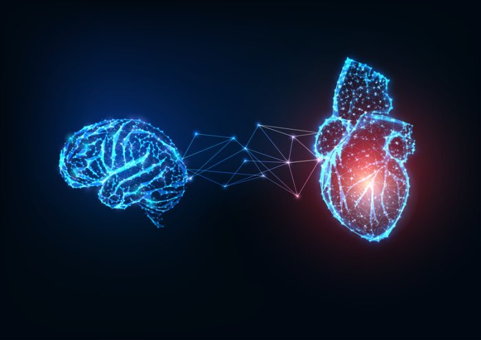 Study Links Heart Health with a Lower Risk of Dementia